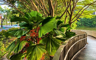 Yishun Park